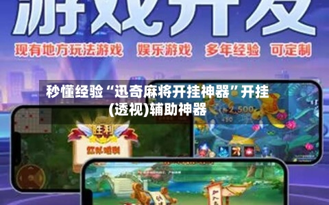 秒懂经验“迅奇麻将开挂神器	”开挂(透视)辅助神器-第2张图片