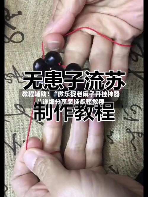 教程辅助！“微乐捉老麻子开挂神器”详细分享装挂步骤教程-第3张图片