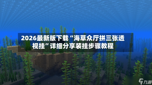 2026最新版下载“海草众厅拼三张透视挂”详细分享装挂步骤教程-第2张图片