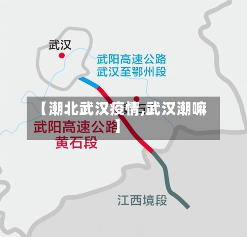 【潮北武汉疫情,武汉潮嘛】-第2张图片