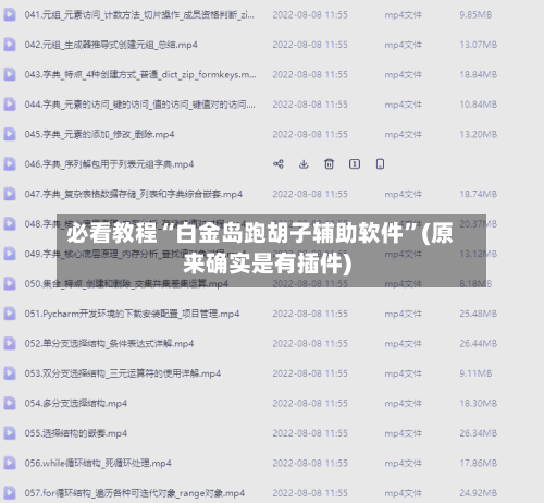 必看教程“白金岛跑胡子辅助软件”(原来确实是有插件)-第2张图片