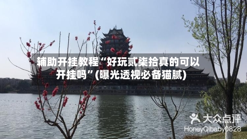 辅助开挂教程“好玩贰柒拾真的可以开挂吗”(曝光透视必备猫腻)-第2张图片