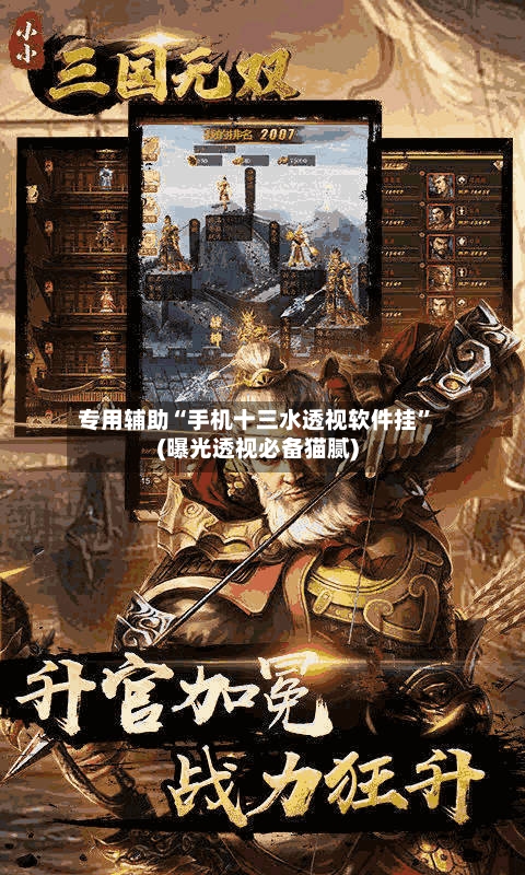 专用辅助“手机十三水透视软件挂	”(曝光透视必备猫腻)-第3张图片