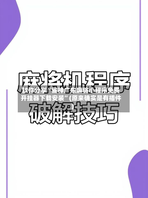 软件分享“雀神广东麻将小程序免费开挂器下载安装”(原来确实是有插件)-第3张图片