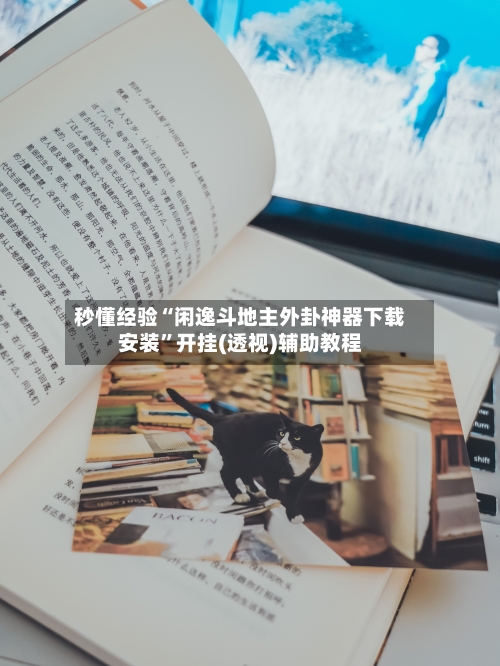 秒懂经验“闲逸斗地主外卦神器下载安装”开挂(透视)辅助教程-第3张图片
