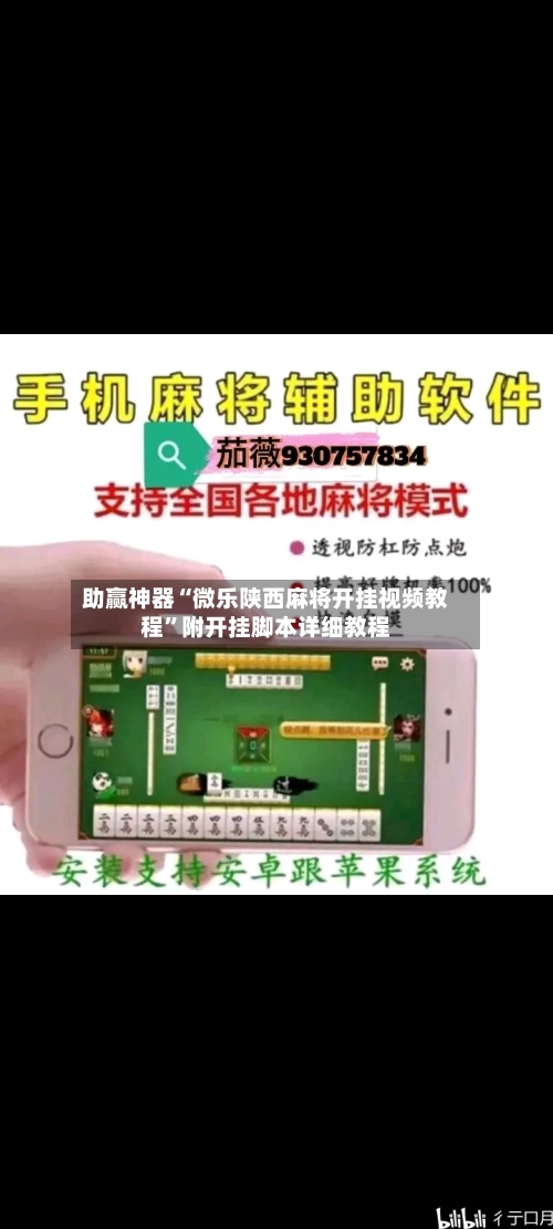 助赢神器“微乐陕西麻将开挂视频教程	”附开挂脚本详细教程-第2张图片