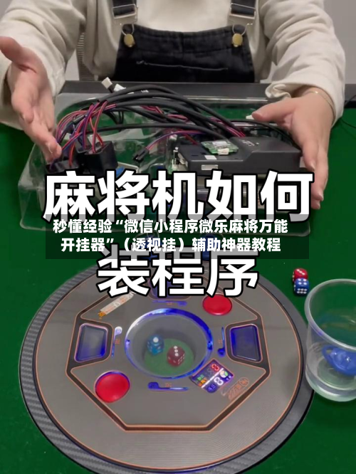 秒懂经验“微信小程序微乐麻将万能开挂器”（透视挂）辅助神器教程-第3张图片