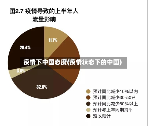 疫情下中国态度(疫情状态下的中国)-第2张图片
