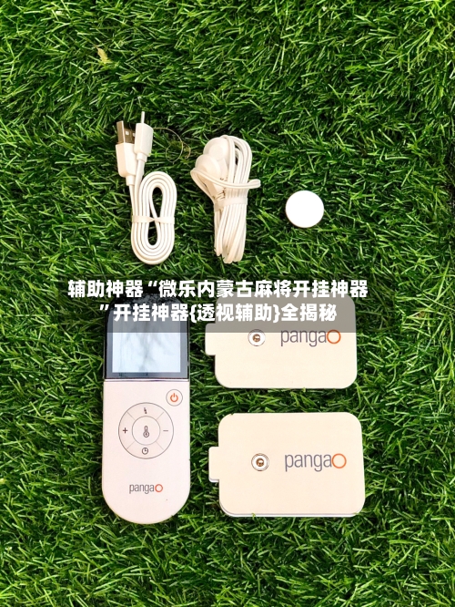 辅助神器“微乐内蒙古麻将开挂神器”开挂神器{透视辅助}全揭秘-第3张图片