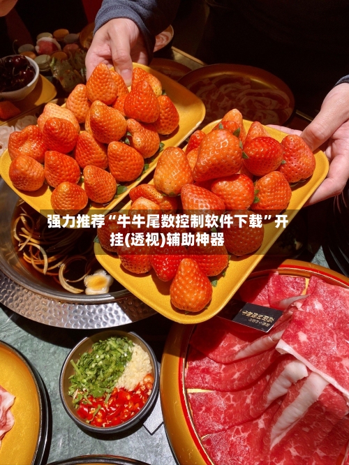 强力推荐“牛牛尾数控制软件下载	”开挂(透视)辅助神器-第2张图片