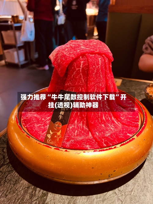 强力推荐“牛牛尾数控制软件下载”开挂(透视)辅助神器-第3张图片