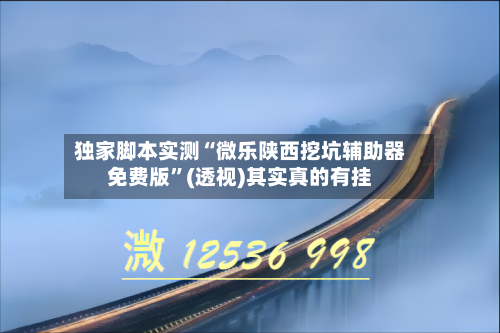 独家脚本实测“微乐陕西挖坑辅助器免费版”(透视)其实真的有挂-第2张图片