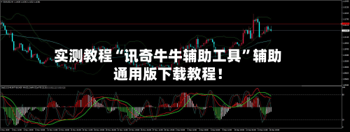 实测教程“讯奇牛牛辅助工具”辅助通用版下载教程！-第2张图片