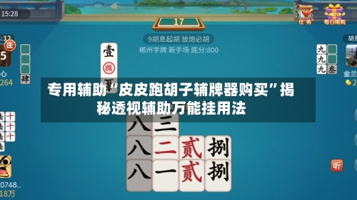 专用辅助“皮皮跑胡子辅牌器购买”揭秘透视辅助万能挂用法-第2张图片