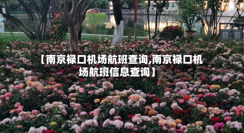 【南京禄口机场航班查询,南京禄口机场航班信息查询】-第2张图片