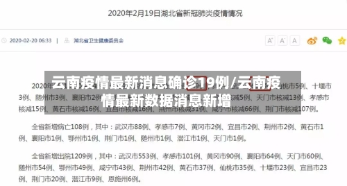 云南疫情最新消息确诊19例/云南疫情最新数据消息新增-第2张图片
