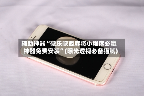 辅助神器“微乐陕西麻将小程序必赢神器免费安装”(曝光透视必备猫腻)-第2张图片