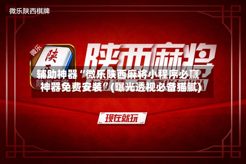 辅助神器“微乐陕西麻将小程序必赢神器免费安装”(曝光透视必备猫腻)-第3张图片