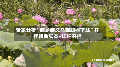 专家分析“越乡游义乌辅助器下载	”开挂辅助脚本+详细开挂-第2张图片