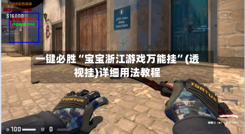 一键必胜“宝宝浙江游戏万能挂”(透视挂)详细用法教程-第3张图片