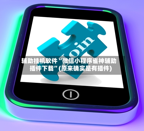 辅助挂机软件“微信小程序雀神辅助插件下载”(原来确实是有插件)-第3张图片