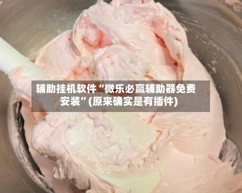 辅助挂机软件“微乐必赢辅助器免费安装”(原来确实是有插件)-第3张图片