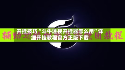 开挂技巧“斗牛透视开挂器怎么用”详细开挂教程官方正版下载-第2张图片