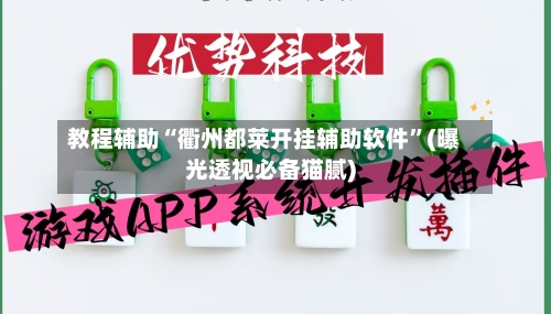 教程辅助“衢州都莱开挂辅助软件”(曝光透视必备猫腻)-第2张图片