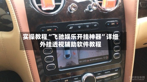 实操教程“飞驰娱乐开挂神器”详细外挂透视辅助软件教程-第3张图片