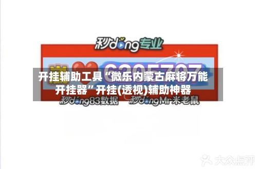 开挂辅助工具“微乐内蒙古麻将万能开挂器”开挂(透视)辅助神器-第3张图片