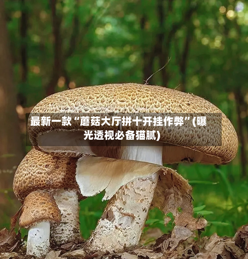 最新一款“蘑菇大厅拼十开挂作弊”(曝光透视必备猫腻)-第3张图片