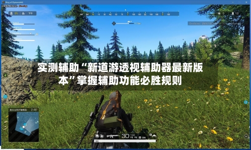 实测辅助“新道游透视辅助器最新版本”掌握辅助功能必胜规则-第2张图片