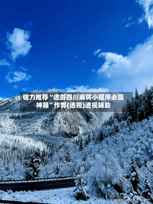 强力推荐“途游四川麻将小程序必赢神器”作弊(透视)透视辅助-第2张图片