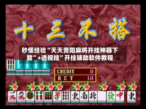 秒懂经验“天天贵阳麻将开挂神器下载”+透视挂”开挂辅助软件教程-第2张图片