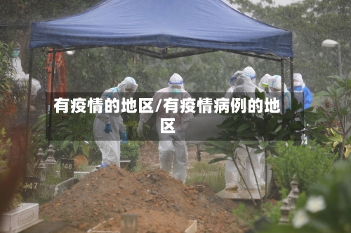 有疫情的地区/有疫情病例的地区