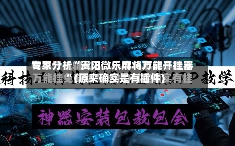 专家分析“贵阳微乐麻将万能开挂器	”(原来确实是有插件)-第2张图片