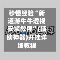 秒懂经验“新道游牛牛透视安装教程”(辅助神器)开挂详细教程-第2张图片