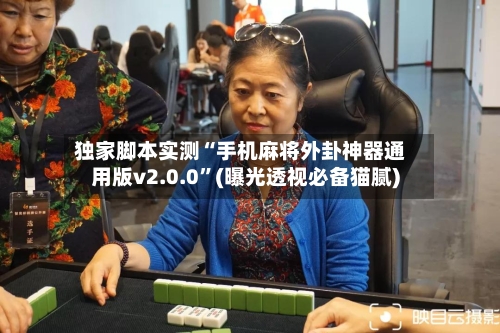 独家脚本实测“手机麻将外卦神器通用版v2.0.0”(曝光透视必备猫腻)-第3张图片