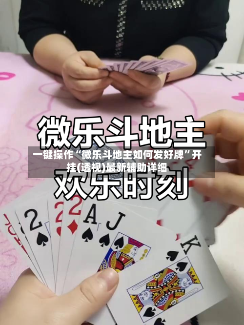 一键操作“微乐斗地主如何发好牌	”开挂(透视)最新辅助详细-第2张图片