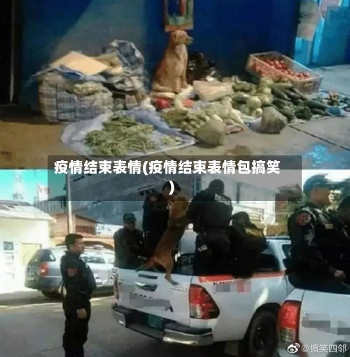 疫情结束表情(疫情结束表情包搞笑)