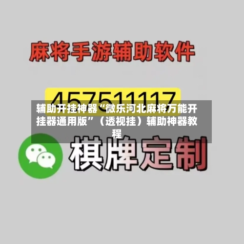辅助开挂神器“微乐河北麻将万能开挂器通用版”（透视挂）辅助神器教程-第3张图片