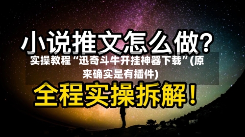 实操教程“迅奇斗牛开挂神器下载	”(原来确实是有插件)-第2张图片