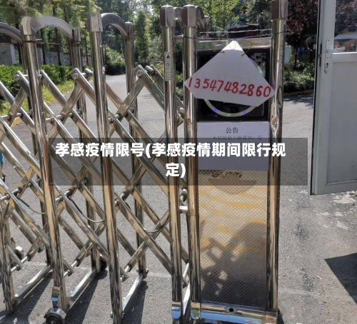 孝感疫情限号(孝感疫情期间限行规定)-第2张图片