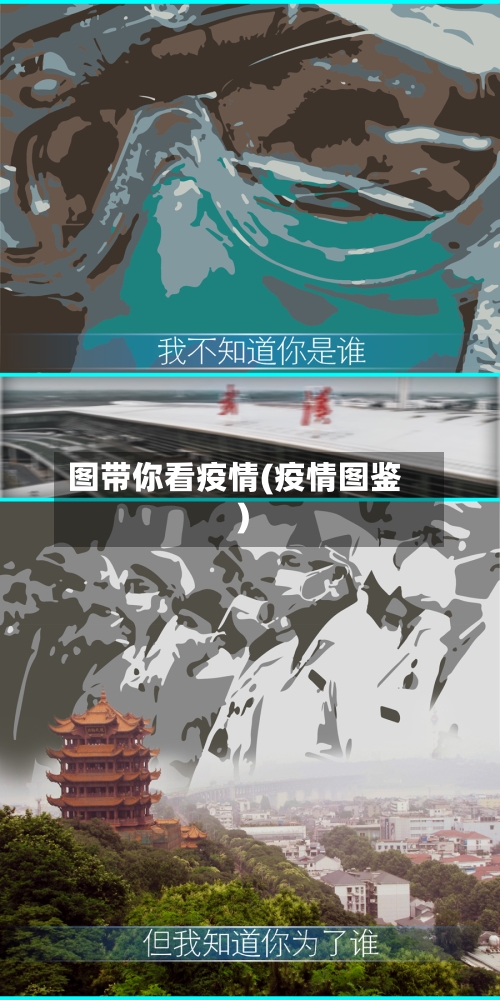 图带你看疫情(疫情图鉴)-第2张图片
