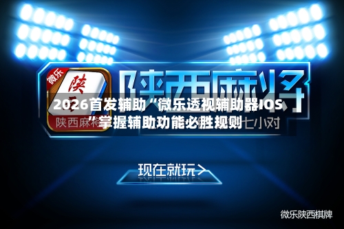 2026首发辅助“微乐透视辅助器IOS”掌握辅助功能必胜规则-第2张图片