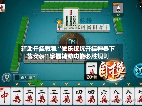 辅助开挂教程“微乐挖坑开挂神器下载安装”掌握辅助功能必胜规则-第2张图片