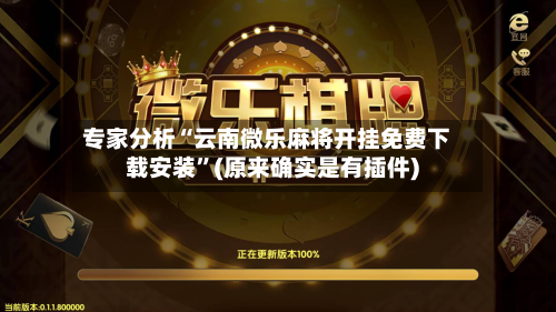专家分析“云南微乐麻将开挂免费下载安装	”(原来确实是有插件)-第1张图片
