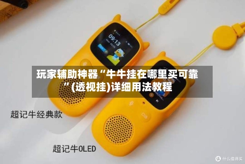 玩家辅助神器“牛牛挂在哪里买可靠	”(透视挂)详细用法教程-第2张图片