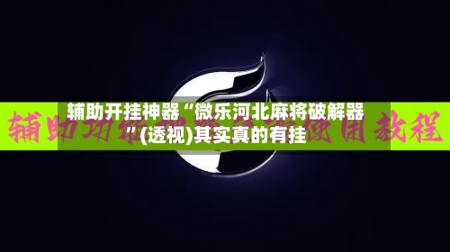 辅助开挂神器“微乐河北麻将破解器”(透视)其实真的有挂-第3张图片