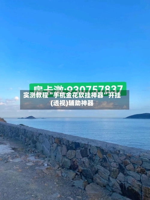 实测教程“手机金花软挂神器	”开挂(透视)辅助神器-第2张图片